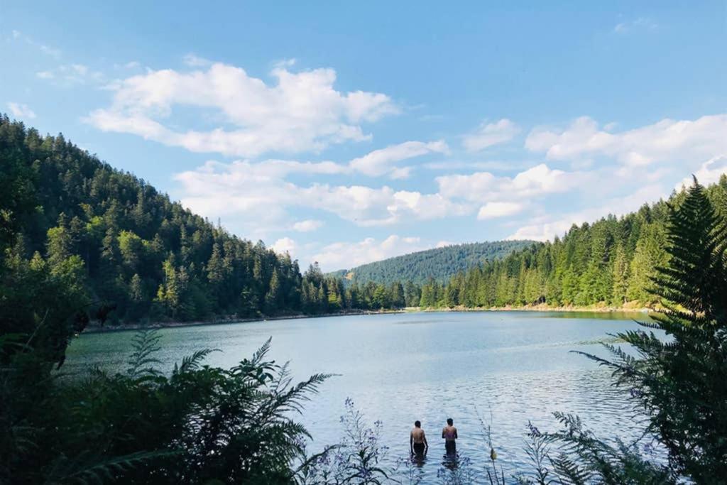Lullaby House - Large, Full Comfort 5 Star Chalet House In The Vosges Ramonchamp Kültér fotó