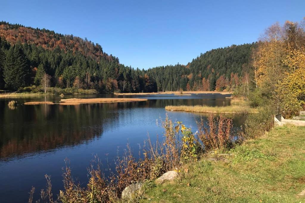 Lullaby House - Large, Full Comfort 5 Star Chalet House In The Vosges Ramonchamp Kültér fotó